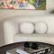 Penthouse Lebada Lake View - Pantelimon