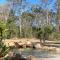 Casa Azul - Off-grid Hideaway Agnes Water 1770