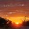 Callies Game Lodge Safaris - Tsumeb