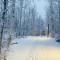 Ski in Ski out 1 Bed plus Loft BEST VIEWS IN LUTSEN - لاتسين