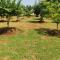 Siva Rama garden 5star stay , swimming pool,room nomber 3&4, , bheemili to dorathota