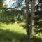 Milana Guesthouse