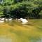 RíoBosque Cabañas de lujo frente al rio desayuno incluido san carlos antioquia - San Carlos