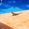Casa Dominical, Beachfront And Fully Equipped - 多米尼克