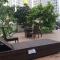 Modern and Comfortable Studio Apartment Springlake Summarecon near Summarecon By Travelio
