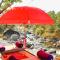 Prakriti Aalay - Riverside Mountain View Boutique Eco Resort - Dharamsala