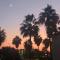 Nissi Golden Sand lovely one bedroom apartment with spacious terrace and free parking