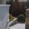 Alkyonis Hotel & Spa