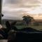 Tim the Tiny Cabin in Toodyay - Toodyay