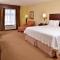 Hampton Inn Staunton - 斯汤顿