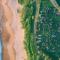 Grand Wailea Resort Hotel & Spa, A Waldorf Astoria Resort