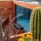 Boulder Horizons - PoolSpaCold Plunge on 5 acres
