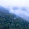 Royal Woods Coorg