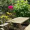 Vakantiewoning Waag