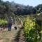 Foto: Every Man and His Dog Vineyard 18/19