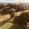 La Vieille Forge B&B