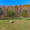 Overlook at Sleepy Creek -- Sleepy Creek Frontage, Secluded, Grill, Fire Pit, Deck, Family Friendly, Game Room, Fishing, Hammock, View, Fireplace - Morton Grove