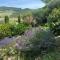 2BR 2BA near San Gimignano - Pool,Air Conditioner,Garden,WiFi - La Cava