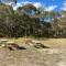 Coonawarra Hampton Bubble 4