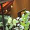 Guruwaththa Eco Lodge - Hikkaduwa