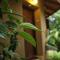 Guruwaththa Eco Lodge - Hikkaduwa