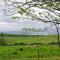 Shandon Farmhouse Bed and Breakfast