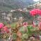 Imlil Authentic Toubkal Lodge - 伊姆利尔