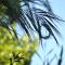 Roundhouse Guesthouse - Franschhoek