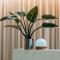 Clarion Hotel Townsville