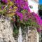 Casetta Arienzo - Positano