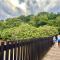 Mtunzini Forest Lodge Self Catering Resort