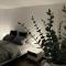 2,5 Zimmer Wohnung in Fürstenfeldbruck-Buchenau - Фюрстенфельдбрук