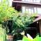 Dewa Bungalows