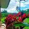 Villa Ceiba