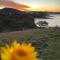 Caba Beach Condo Modern, 2-bedroom cabin, walk to the beach! 3-night minimum stay