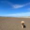 Sandscape - Eco Beach House - Close to Beach - Pet Friendly - 坎伯利