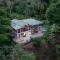 The Jungle Inn