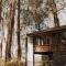 Forest Retreat