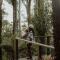 Forest Retreat