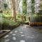 Forest Retreat