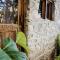 Butterfly Space- A Non-Profit Eco-Lodge