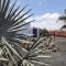 Casa Cocoon, Sun&Freedom, 8 mn from beaches, internet fiber