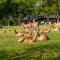 Kruger Park Lodge - Modern Unit 225B - Hazyview
