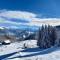 Chalet avec vue panoramique à 5 min des pistes de la station des Brasses - Viuz-en-Sallaz