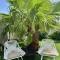 Palm Beach 6 bedroom Villa with Private Pool behind Marriott