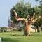 Postiglione Country House