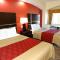 Regency Inn & Suites - Baytown