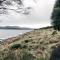 Siren Tasmania - وايت بيتش