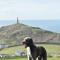 Cape Cornwall Club