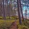 Albatros Resort SPA - Ķesterciems